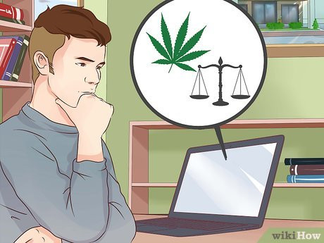 Step 4 Learn about the laws regarding marijuana.